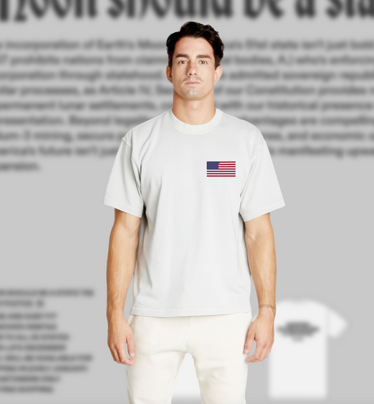 Pirate Wires Moon Tee (Lunar)